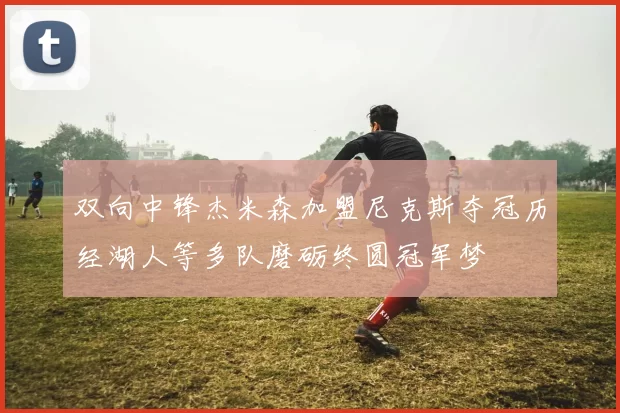 双向中锋杰米森加盟尼克斯夺冠历经湖人等多队磨砺终圆冠军梦